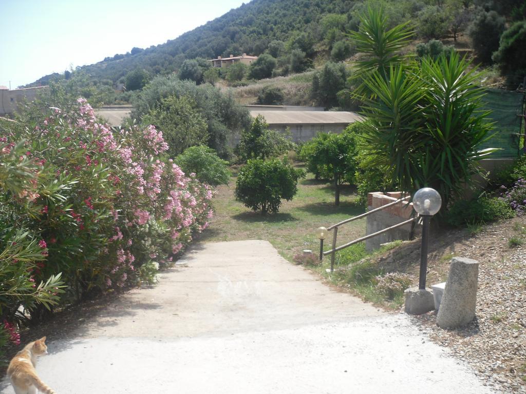 B&B Sa Funtana Cardedu Exterior foto
